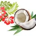 Bloc ingredient is Coconut oil